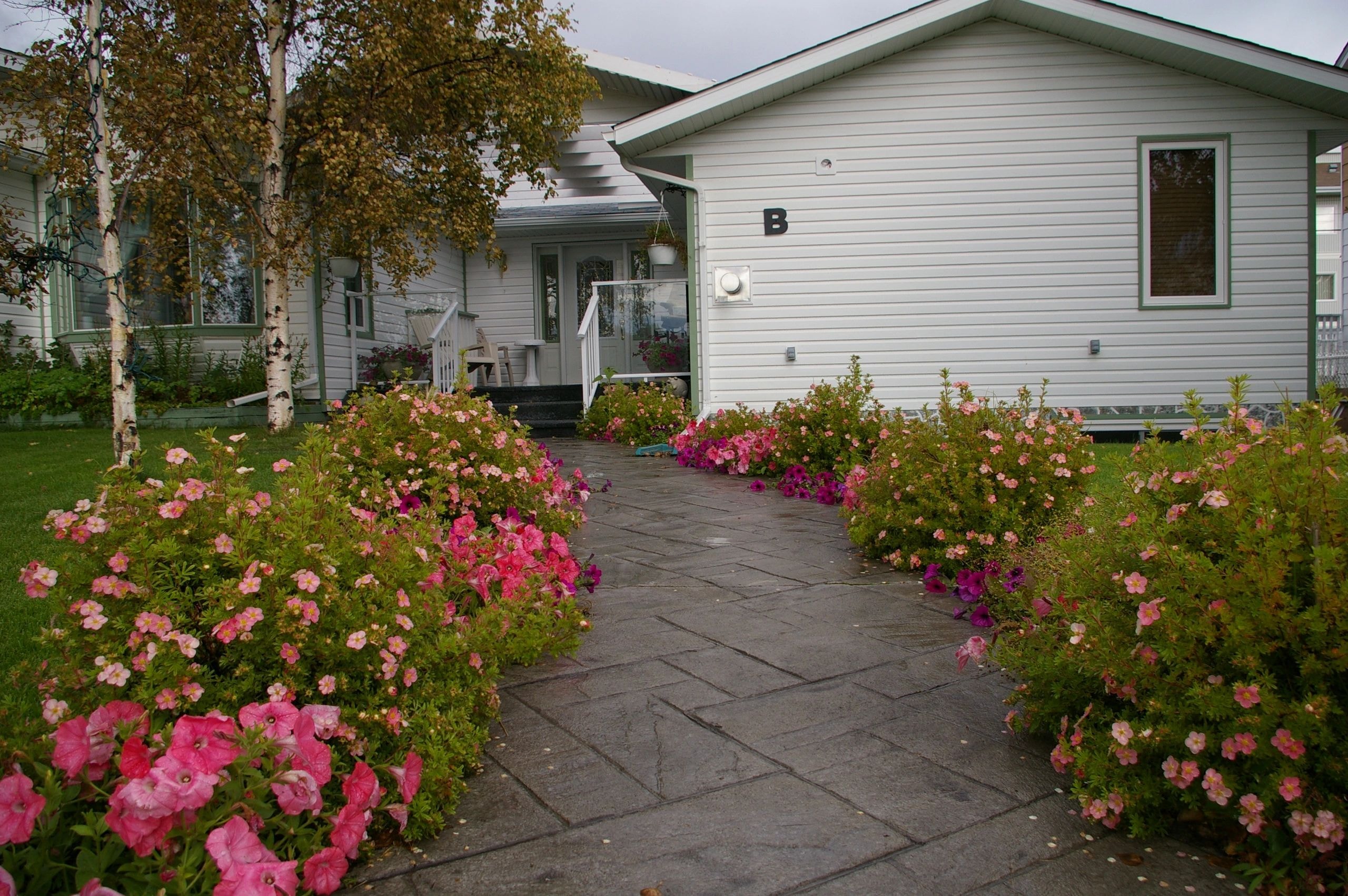 Embleton House yard in summer